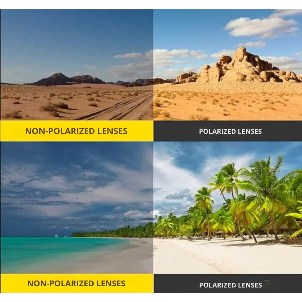 Lunettes polarisées ProAction™